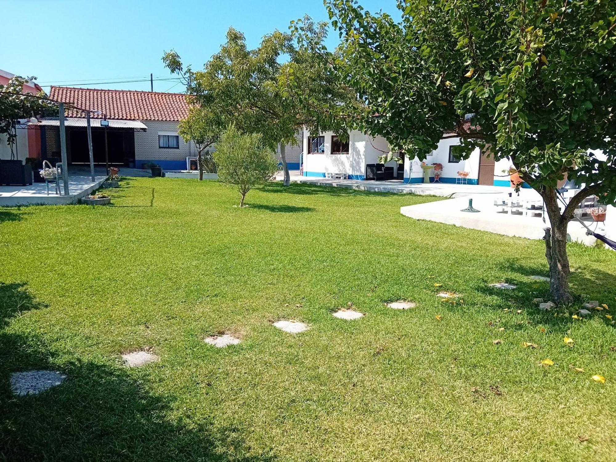 Casa Dos Avos Veras アヴェイロ エクステリア 写真